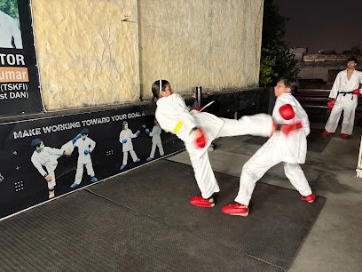 Martial arts club Club Martial arts academy photo