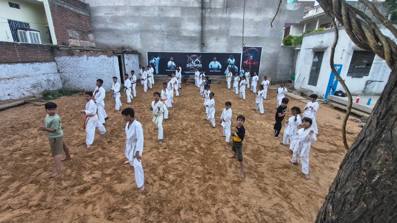 Black Panther Karate Academy academy