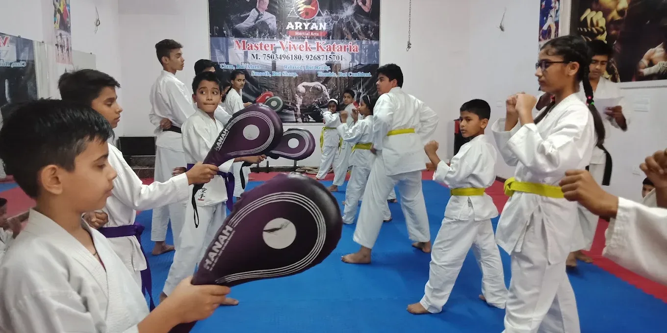 ARYAN MARTIAL ART TEMPLE - KARATE DWARKA SECTOR 2 DELHI Martial Arts academy photo
