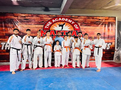 The Academy of martial arts Martial arts academy photo