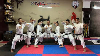 Xtreme Martial Arts India - XMA Academy India Martial Arts academy photo