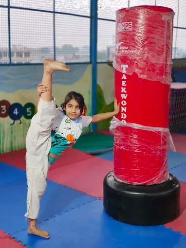 WCTA RAJASTHAN Furious Martial Arts , Taekwondo , Karate Academy sports academy in Jaipur