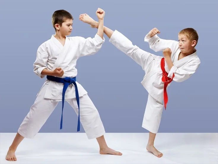 Karate academy Martial arts academy photo
